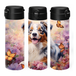 Australský ovčák I.