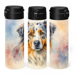 Australský ovčák II.