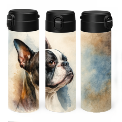 Bostonský terier I.