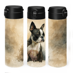 Bostonský terier II.