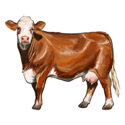 Česká straka II. - samolepka