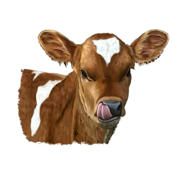 Simentálek -samolepka